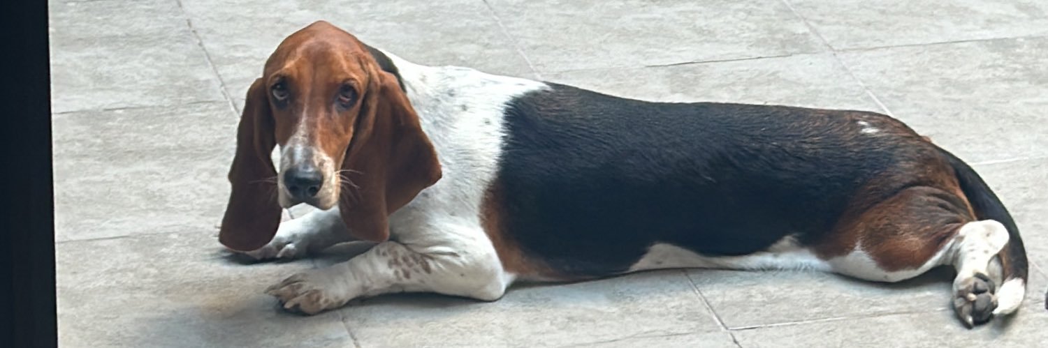PepoConteGrand's profile banner image