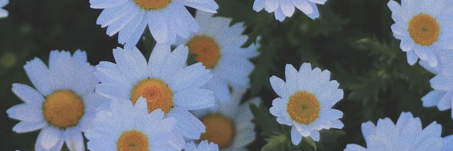 𝐌𝐢𝐥𝐚𝐧🌼 banner