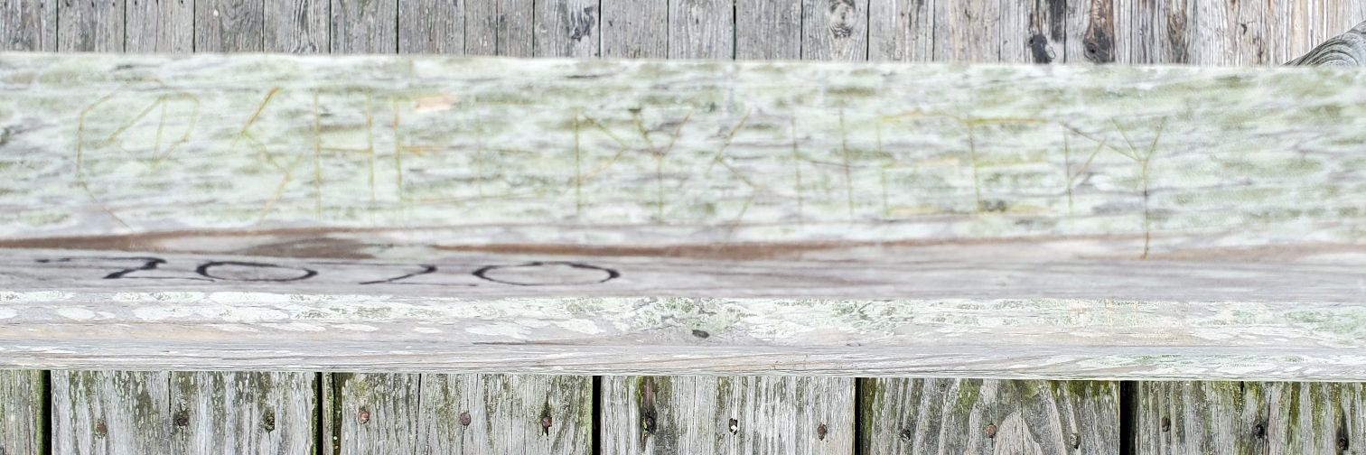 shaybayster's profile banner image