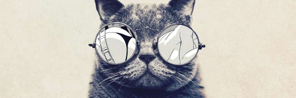 AlkoBerke's profile banner image