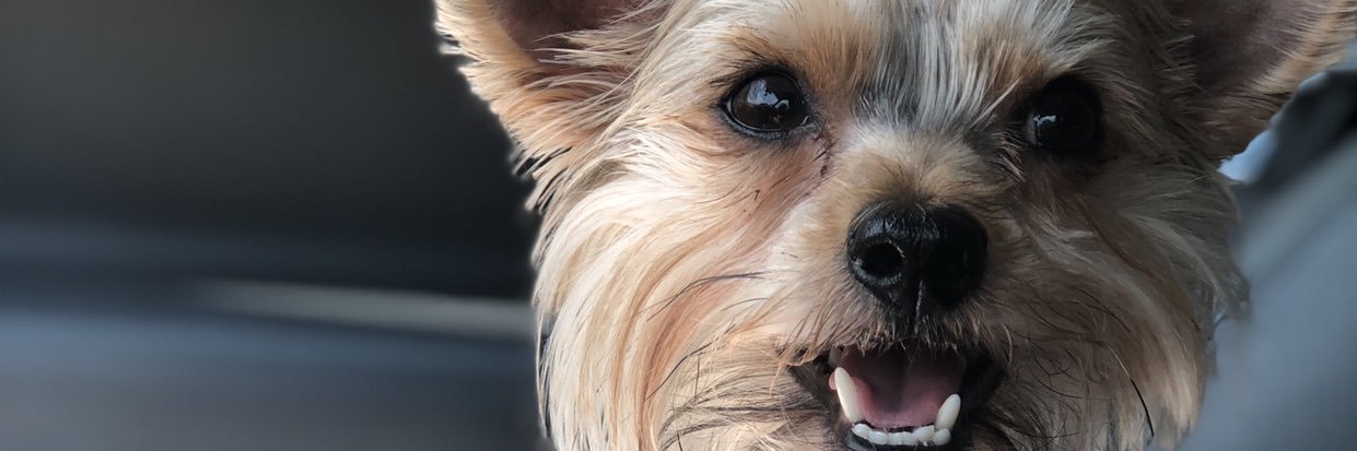SextonKaylee's profile banner image