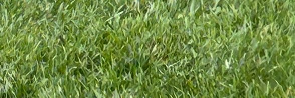 cale_wilson11's profile banner image
