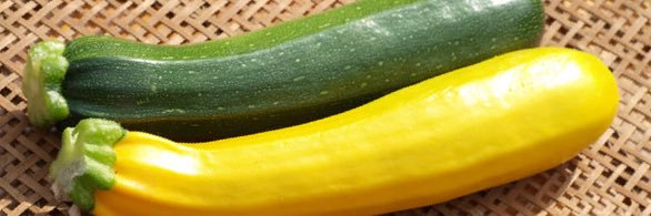 zucchini_mizo's profile banner image