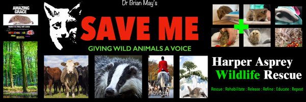 AnneatSaveMe Profile Banner