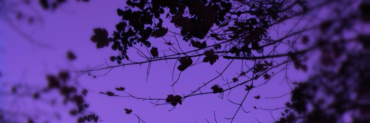 Purpledk_bts's profile banner image