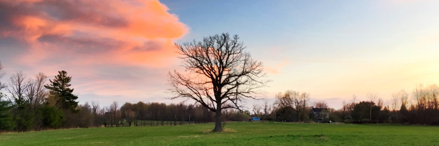 WindsorMBaker's profile banner image