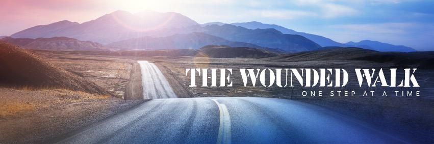 TheWoundedWalk's profile banner image
