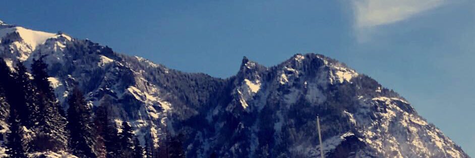 madi_chaffee11's profile banner image