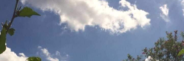 Anze_Tcc's profile banner image