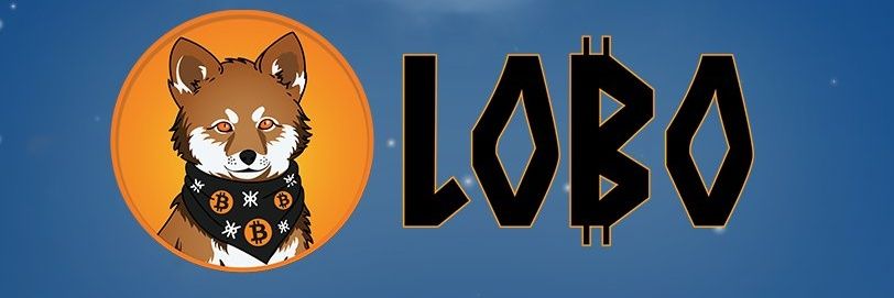LoboCryptoKing banner