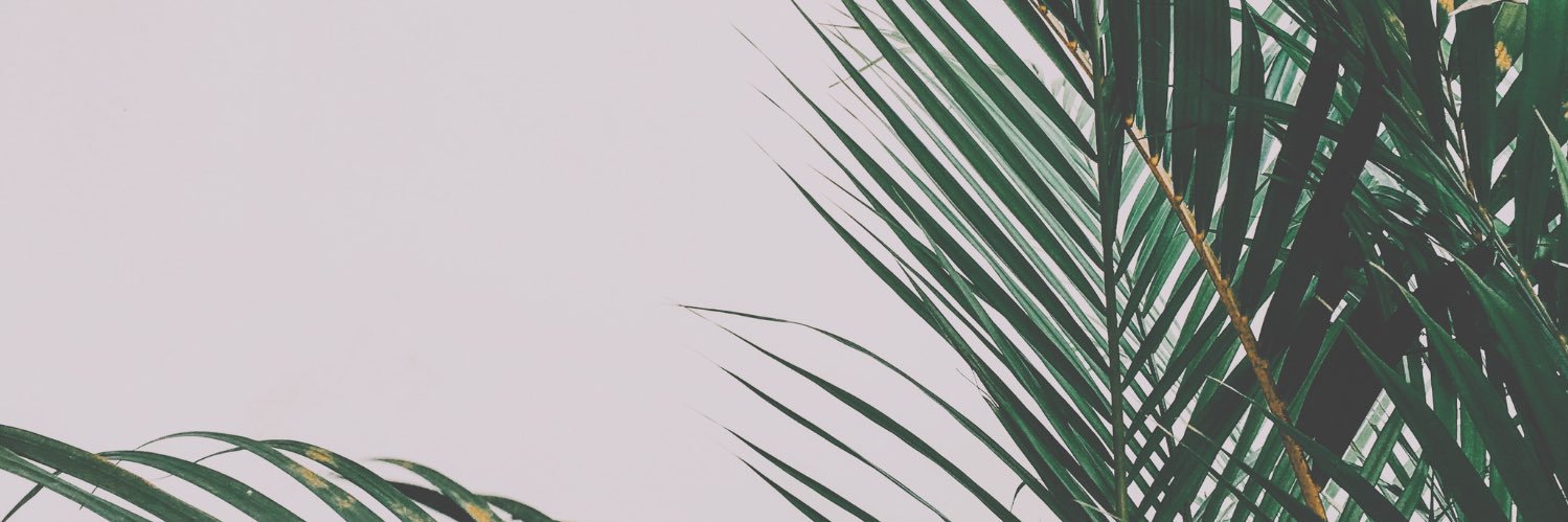 Requia_Proctor's profile banner image