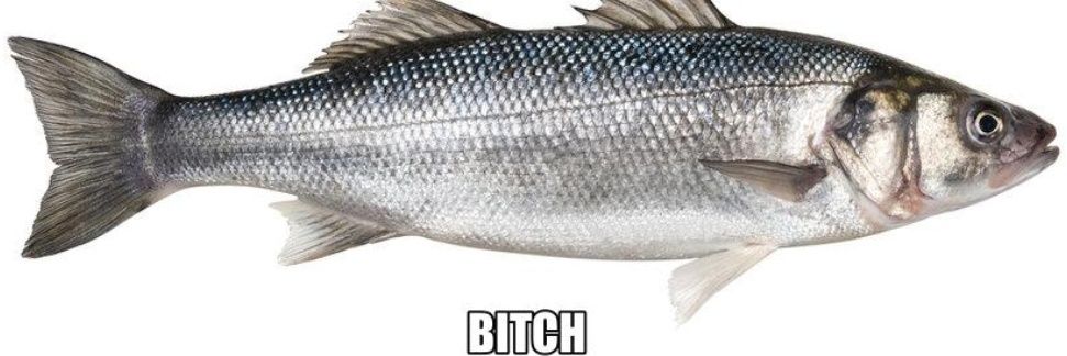 Xetheon1's profile banner image