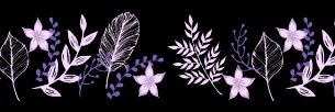 AhlaiAkhund's profile banner image