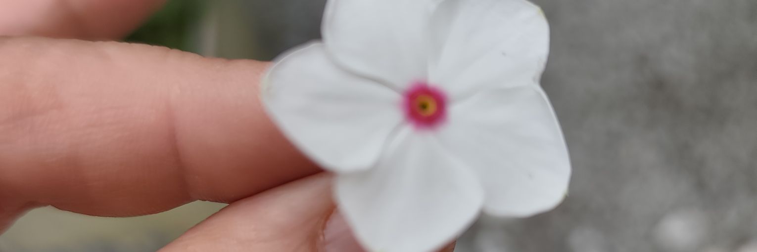 edurnedeoz's profile banner image