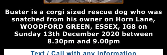 Stolen Buster banner