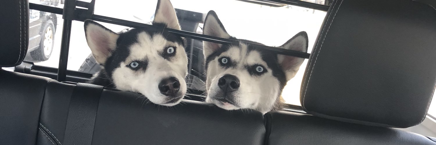 Terrance Jamarcus banner