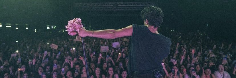 haystack🌾🇵🇸 banner