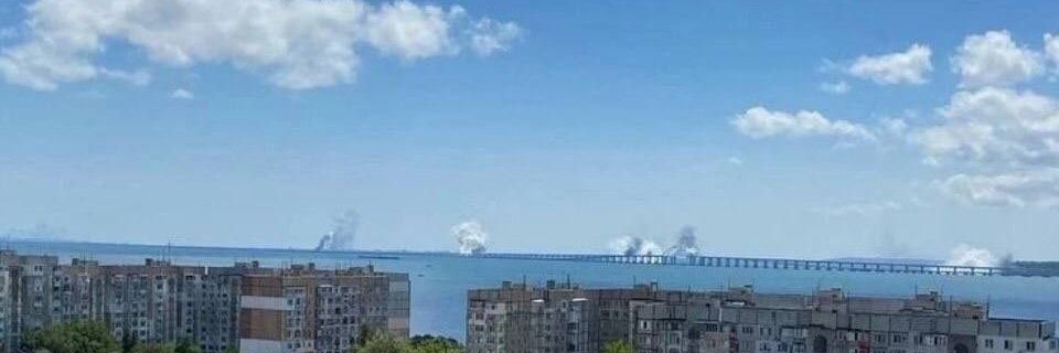 Lux Fella / NAFO 🇱🇺 🦈 🌻 🇺🇦 🇪🇺 banner