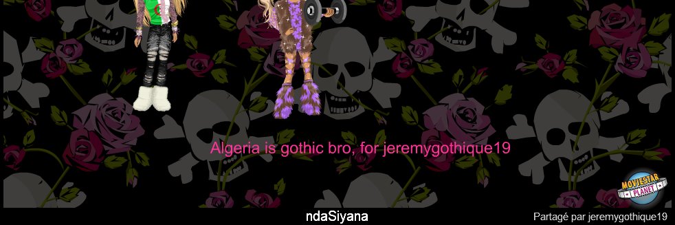 doggigo's profile banner image