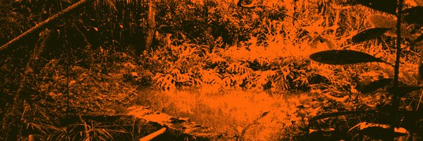 LoueyThePerson Profile Banner