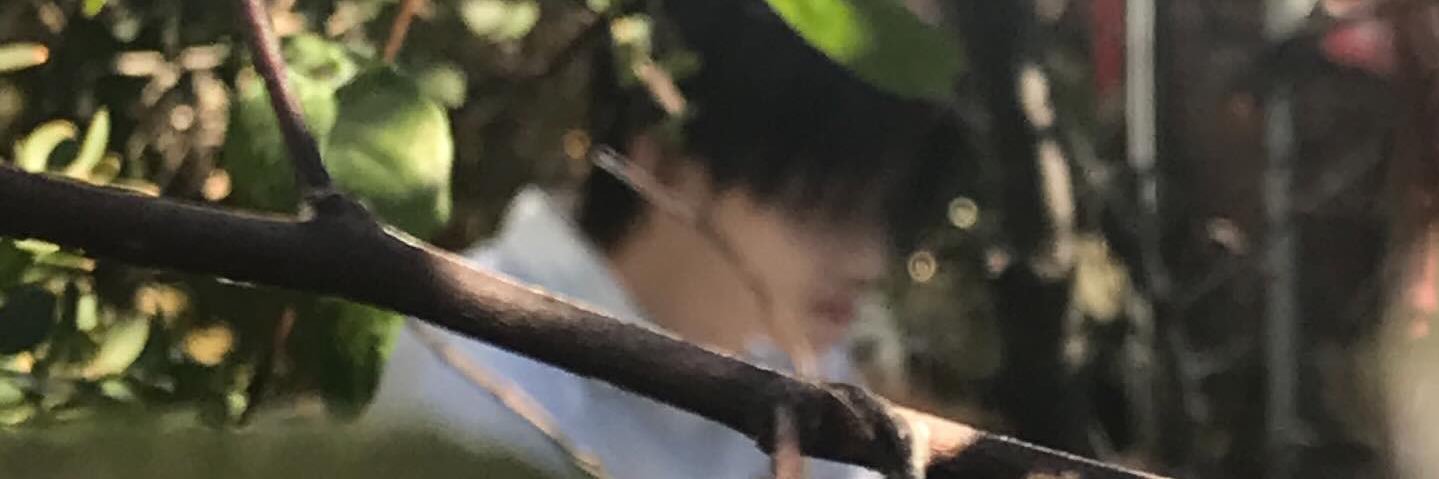 aquariyoos's profile banner image