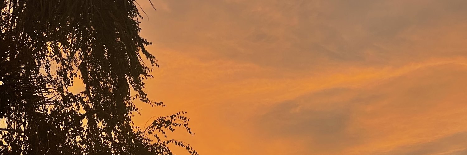softgohst's profile banner image