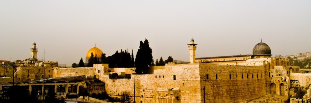 yeshil21's profile banner image