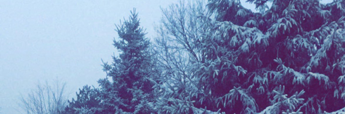 ابـو منيـــره banner