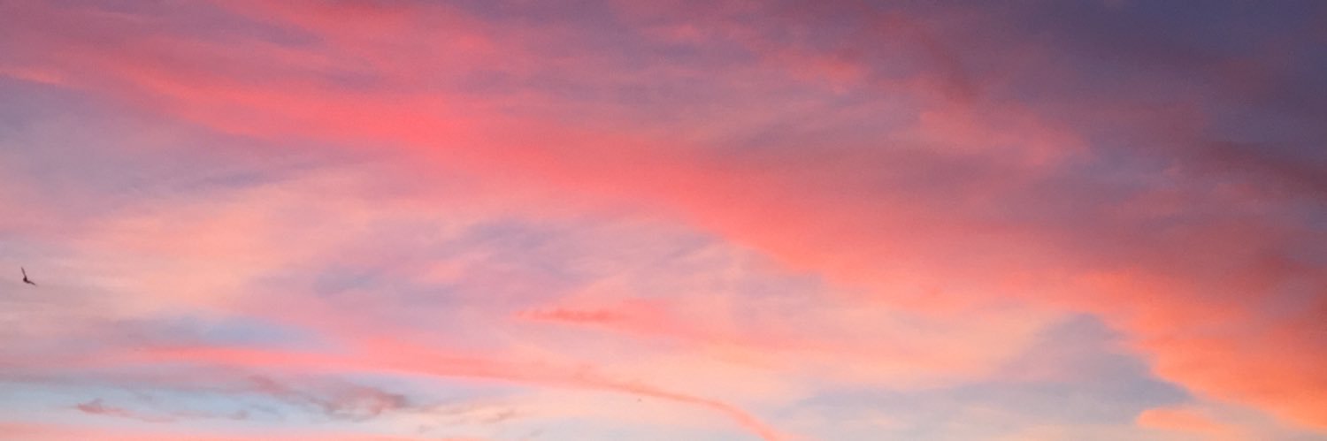 dianneplease's profile banner image