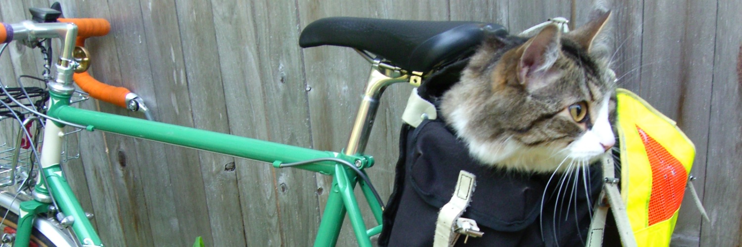 KevinTurinsky's profile banner image
