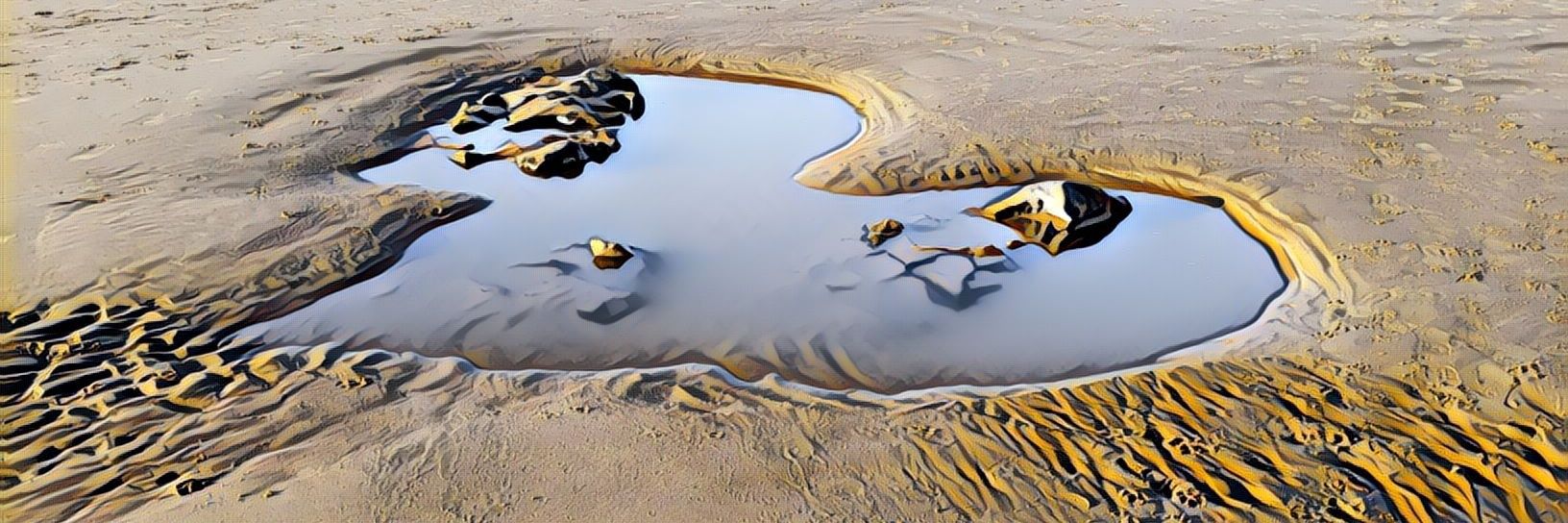 Dr. Lisa Mansell banner