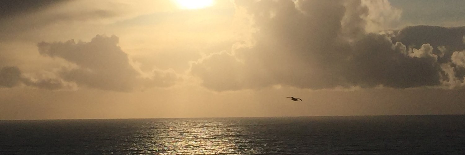 MBailey89's profile banner image