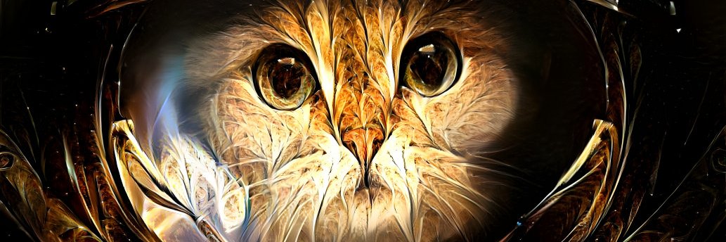 Capt_Cat_'s profile banner image