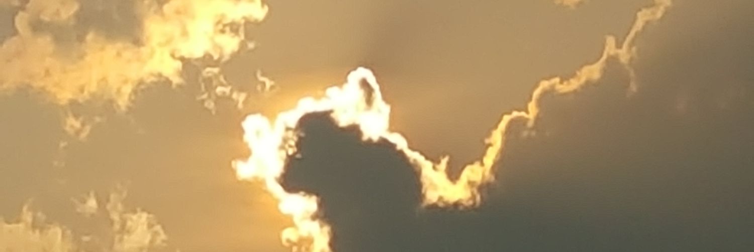 anuj2rock's profile banner image