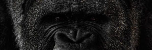 KavonteG's profile banner image