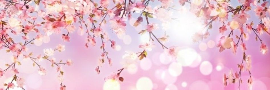 Metzeri_Dhamar's profile banner image