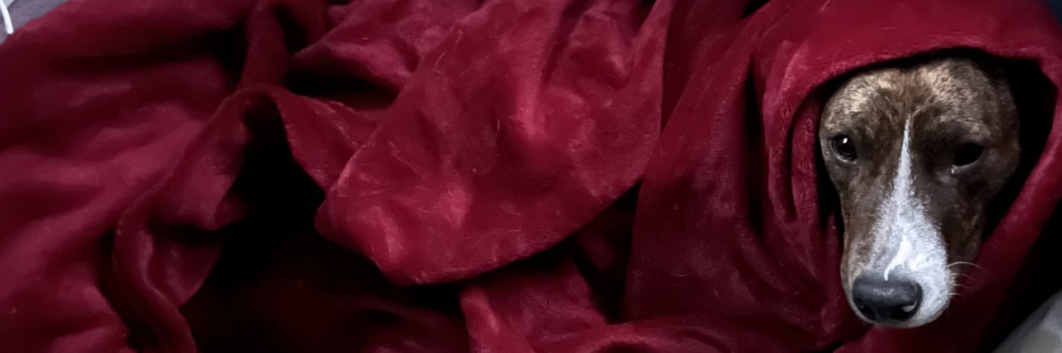 bellaaquintana's profile banner image