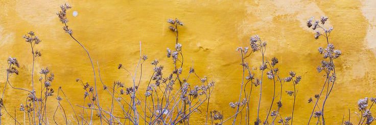 __Yellow10's profile banner image