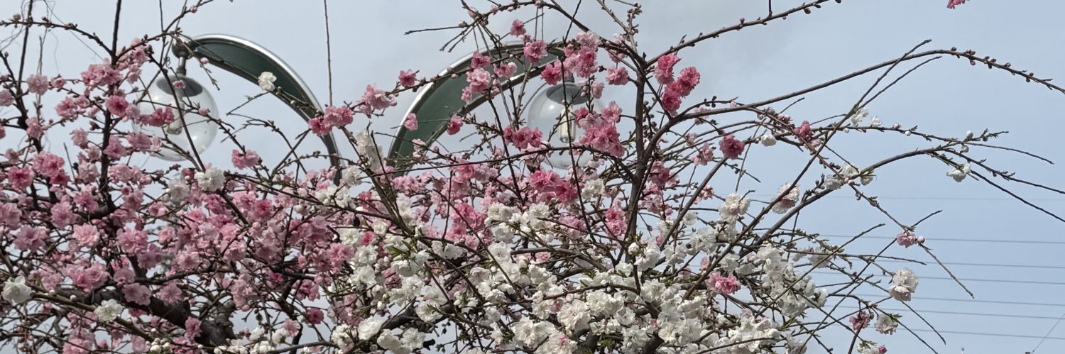 みなこ@D垢 banner