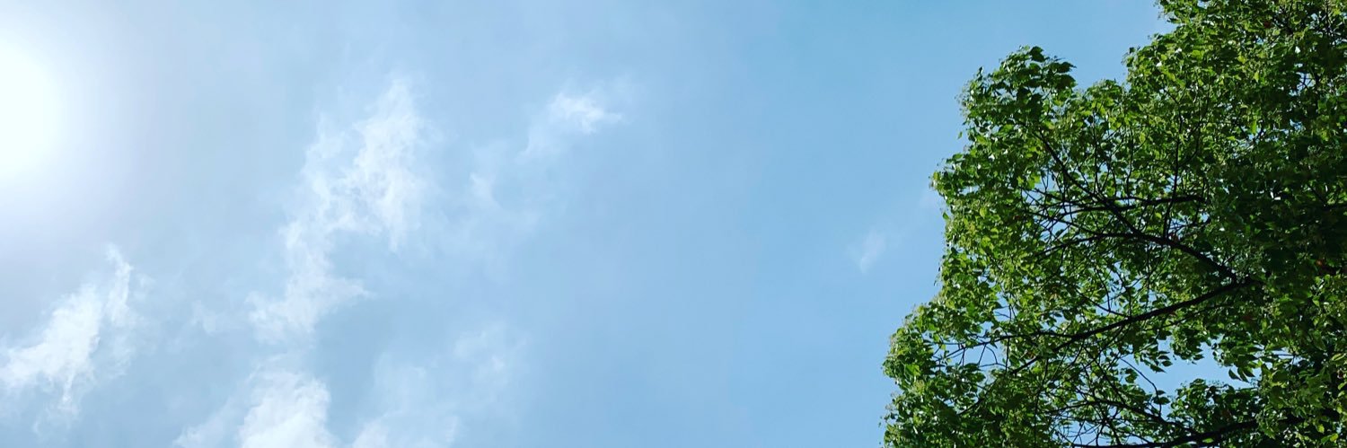gogomachoco's profile banner image