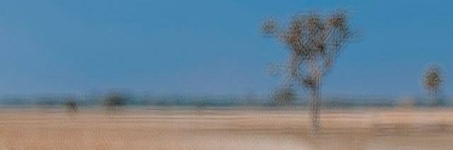 real_devis's profile banner image