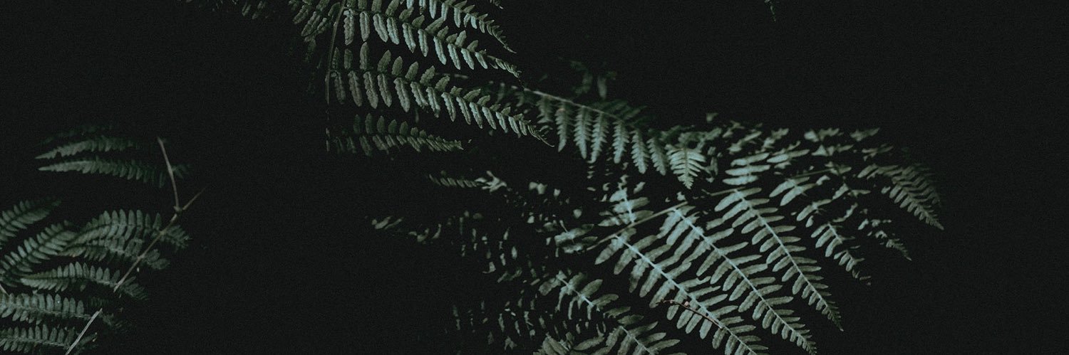 __kx3's profile banner image