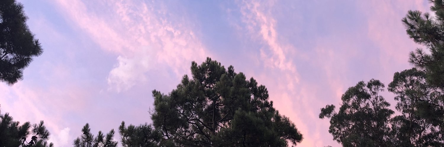 sxnder_'s profile banner image