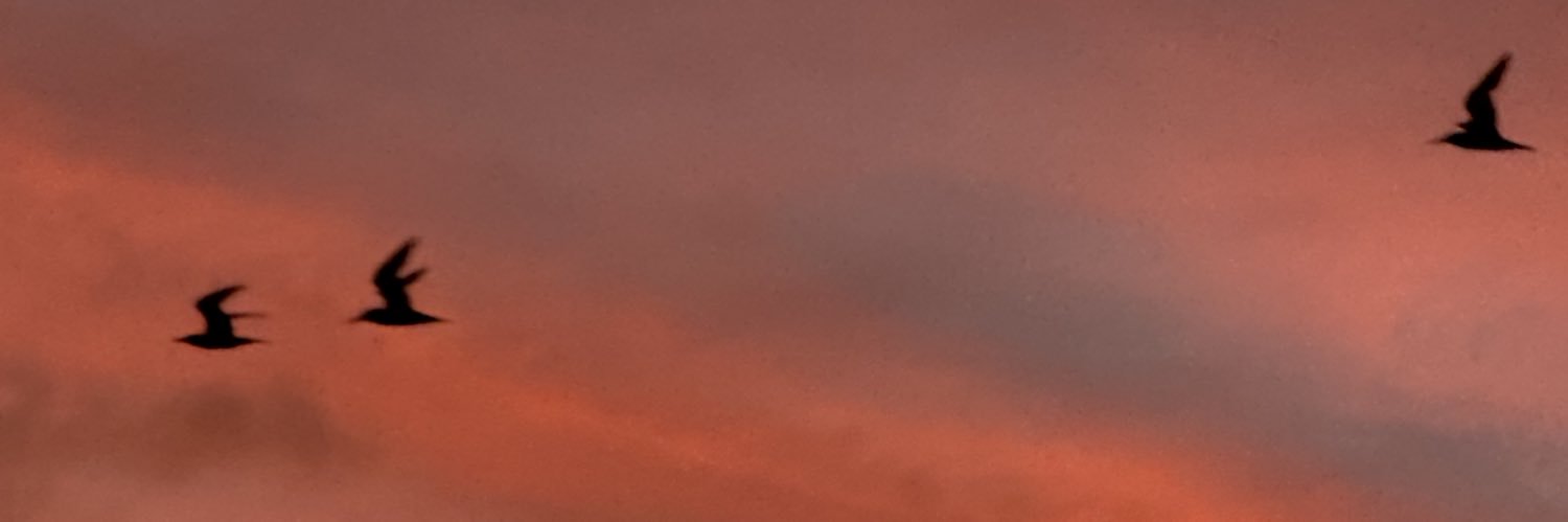 mike_wheelerr's profile banner image