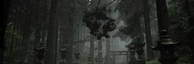 meadows_tay's profile banner image