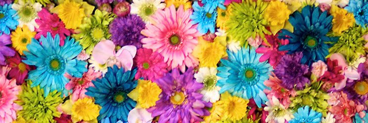 aiai423's profile banner image