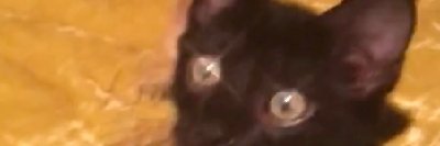 sour pickles as a snack banner