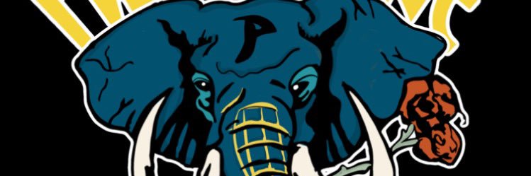 PraestigiaeC's profile banner image