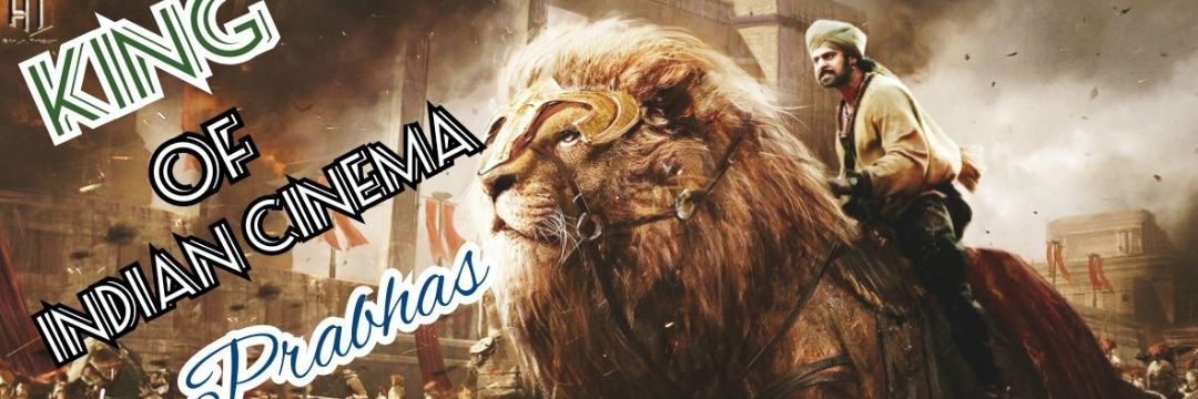 PEvadyna's profile banner image