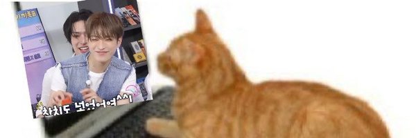 hongmurr Profile Banner